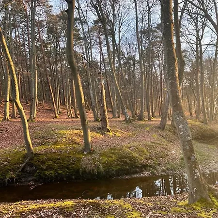 Ustecka Ostoja Na Wydmie *