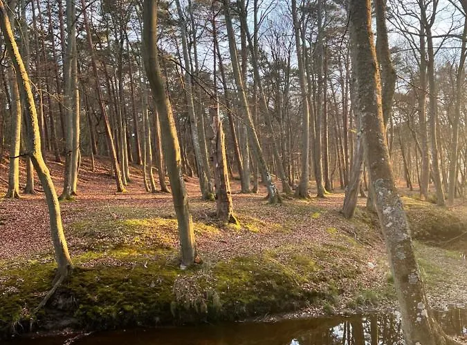 Ustecka Ostoja Na Wydmie *